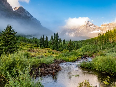 Nature Connected Coaching Helps You Open To Your True Potential