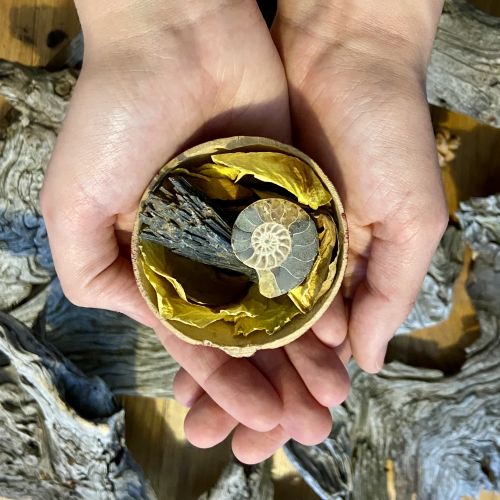 Testimonial Sarah Hope 4 Nature Connected Coaching