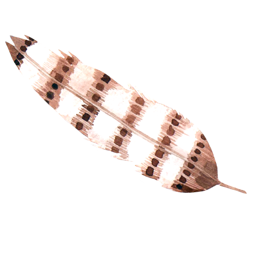 feather