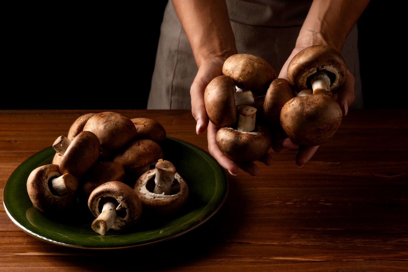 How an Oaxaca Mushroom Retreat Can Help in Healing