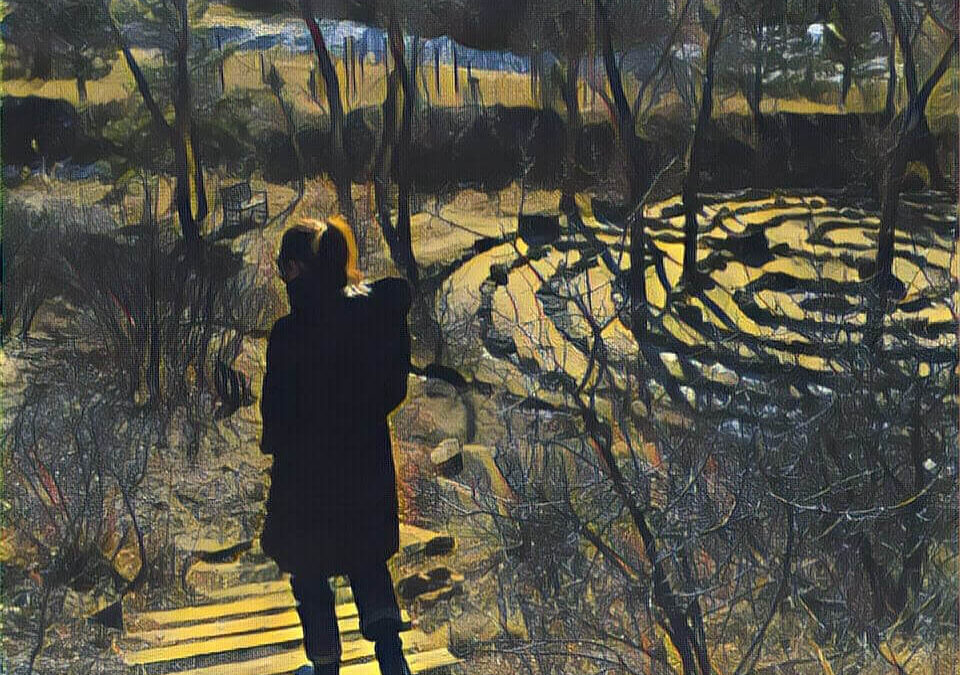 You are an ecosystem: The Importance of Nature Connection In Psychedelic Integration
