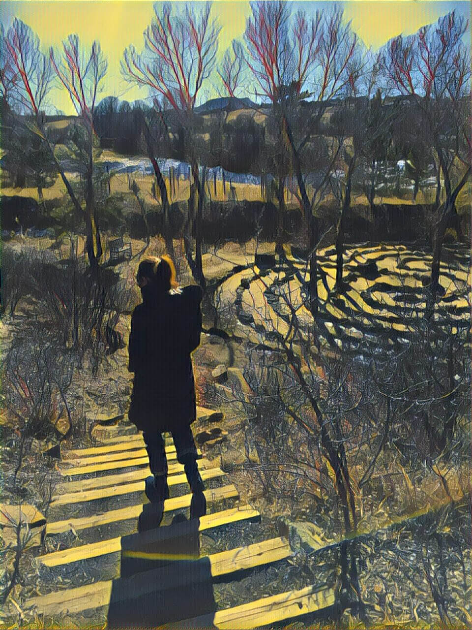 You are an ecosystem: The Importance of Nature Connection In Psychedelic Integration
